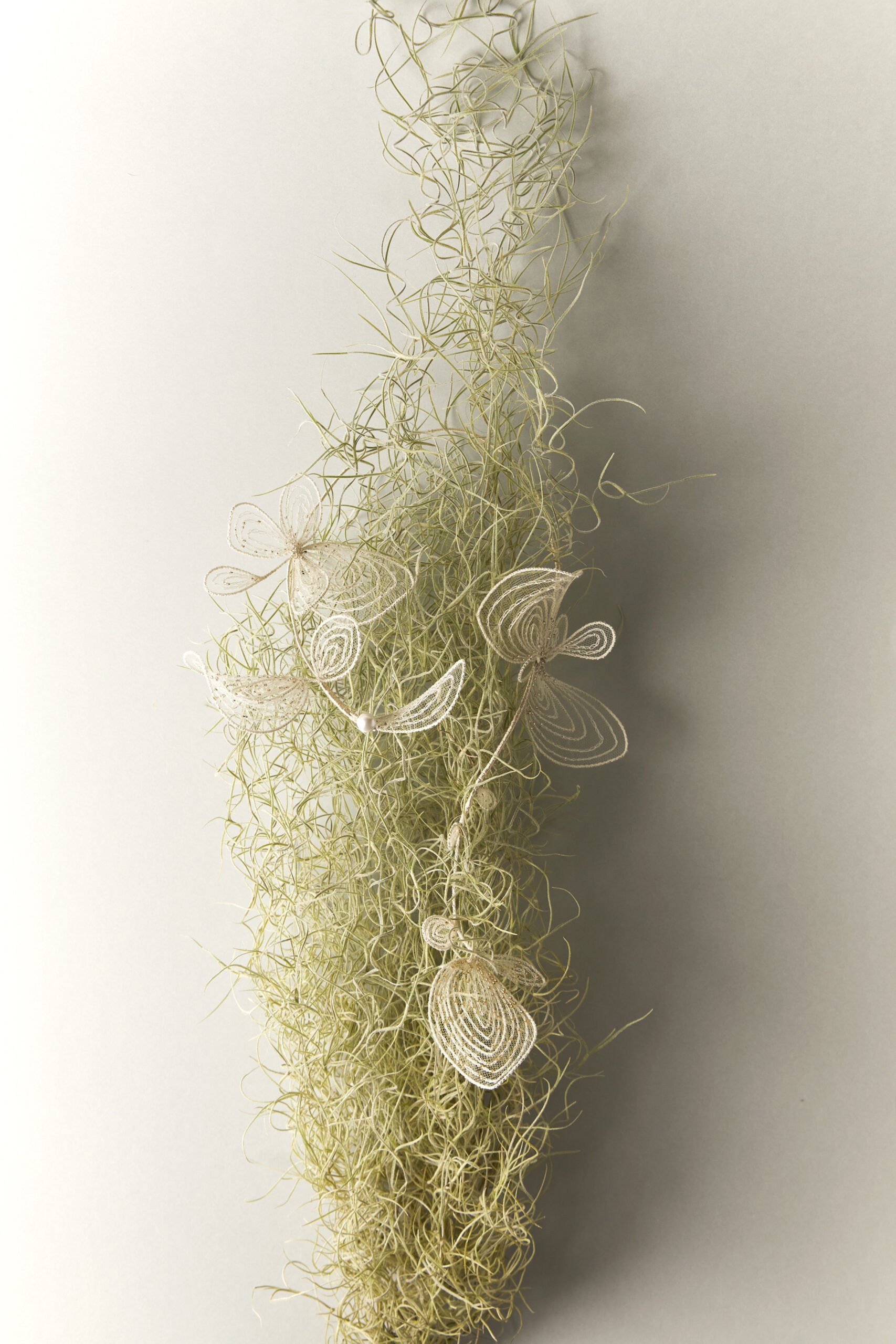 Les bijoux de Salomée